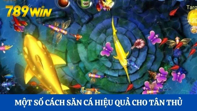 Bắn cá 3D là gì? Xu hướng bắn cá đổi thưởng tại Hi88 3 Một số cách săn cá hiệu quả cho tân thủ